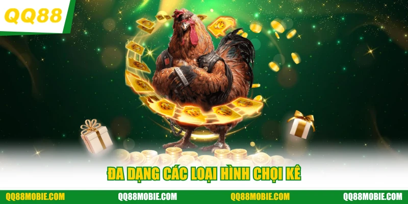 Đá gà - Đa dạng các loại hình chọi kê