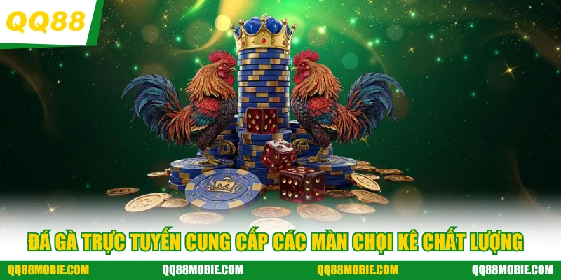 Đá gà trực tuyến cung cấp các màn chọi kê chất lượng