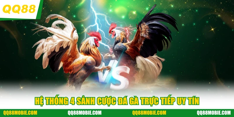 Hệ thống 4 sảnh cược đá gà trực tiếp uy tín